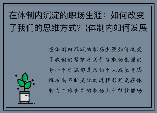 在体制内沉淀的职场生涯：如何改变了我们的思维方式？(体制内如何发展)